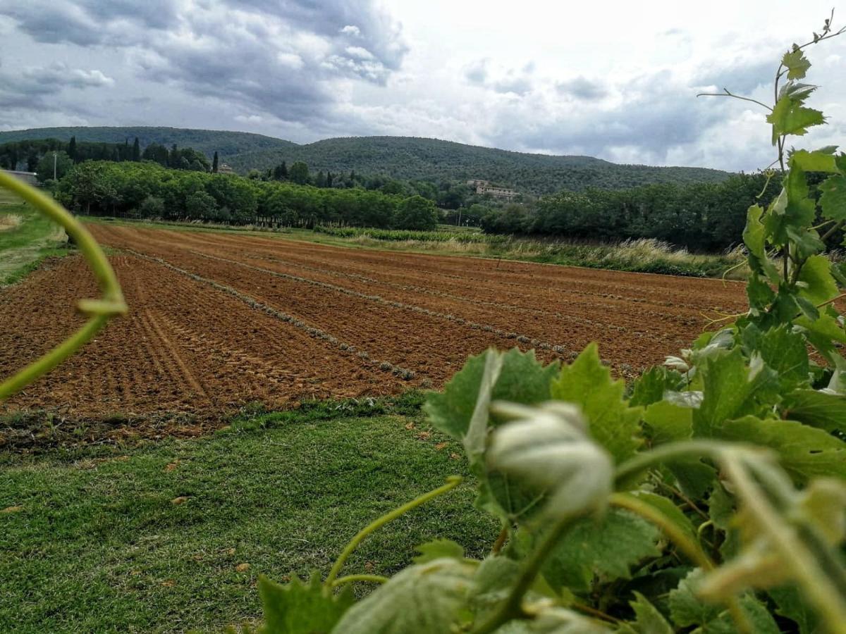 Claudia Vacanza Toscana - Appartamento Nocciolo- 10 Min Da Siena Malignano Экстерьер фото
